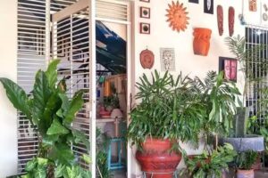 Posada tur&iacute;stica Cunur&iacute;