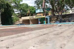 Puente de las Brisas