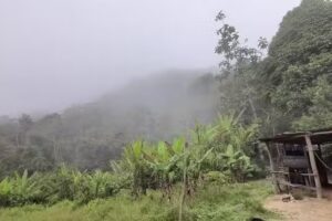 Rancho los cacharros