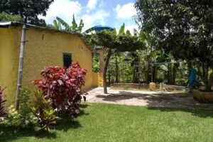 residencia las rosas