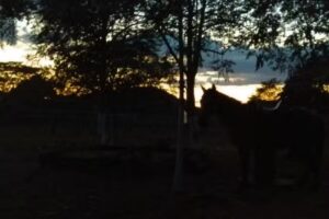 Residencias La Garza