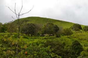 SECTOR SAN ROQUE CIUDADELA FRANCISCO DE MIRANDA