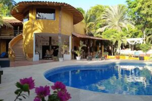 Stevie Wonderland Hotel-boutique