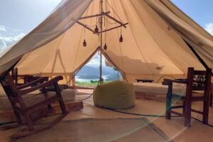 Terranova experience