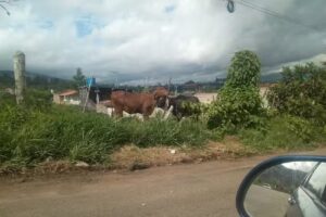 Urb. Marveyal, sector paramito